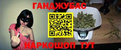 индика Лесосибирск