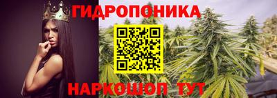 мдпв Ликино-Дулёво