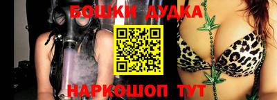 индика Лесосибирск