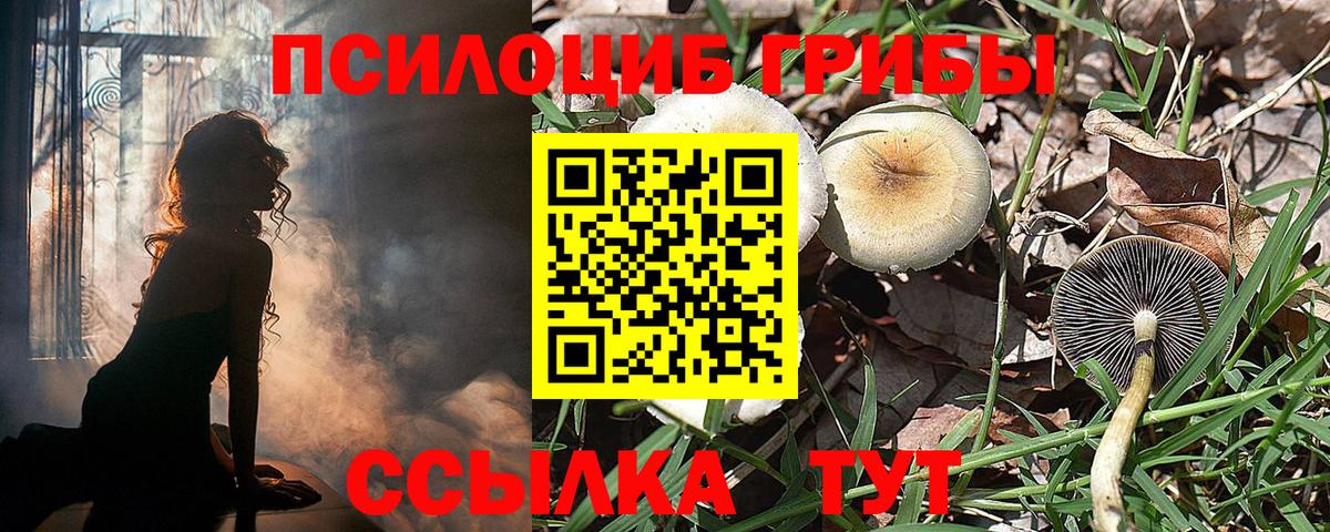 МЕФ   Бошки Шишки  ГАШ  Cocaine  ГАШ  A PVP СК   Зеленокумск  Вход с VPN 