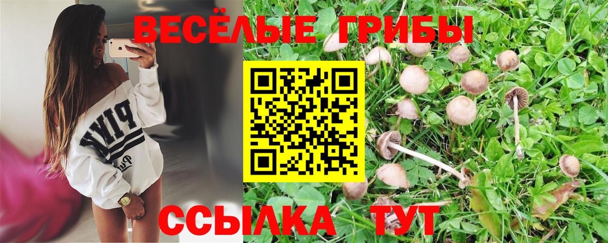 Зеленокумск  Галлюциногенные грибы MAGIC MUSHROOMS  Вход с VPN 